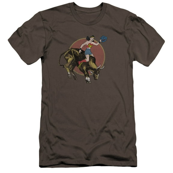 JLA Justice League Bull Rider Premium Canvas Adult Slim Fit 30/1 T-Shirt Charcoal