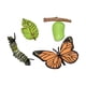 thumbnail image 5 of Juego de rompecabezas cognitivo para niños de 3 a 6 años con ciclo de crecimiento animal. mariposa 10x5.5cm, 5 of 9