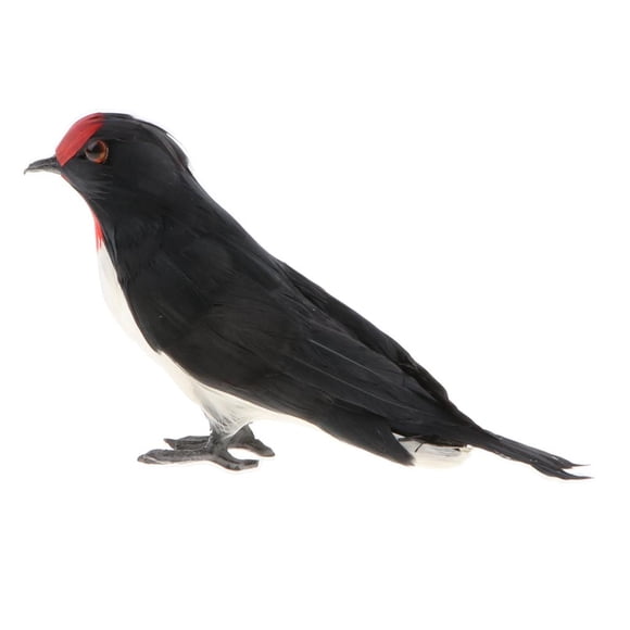 Modelo animal de simulación de estatua de golondrina