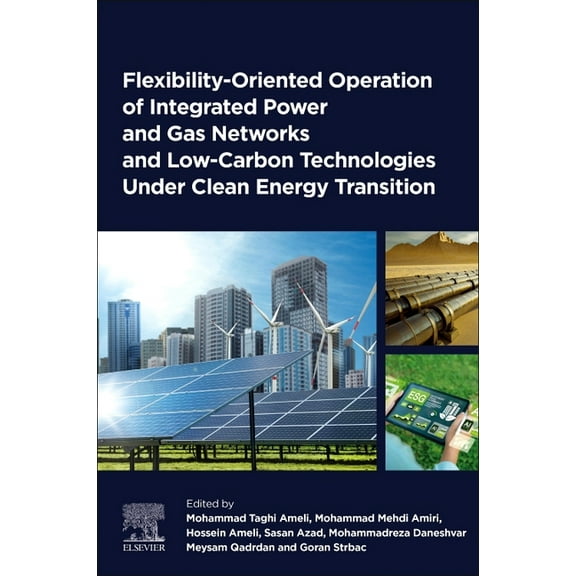Flexibility-Oriented Operation of Integrated Power and Gas Networks and Low-Carbon Technologies Under Clean Energy Trans, (Paperback)