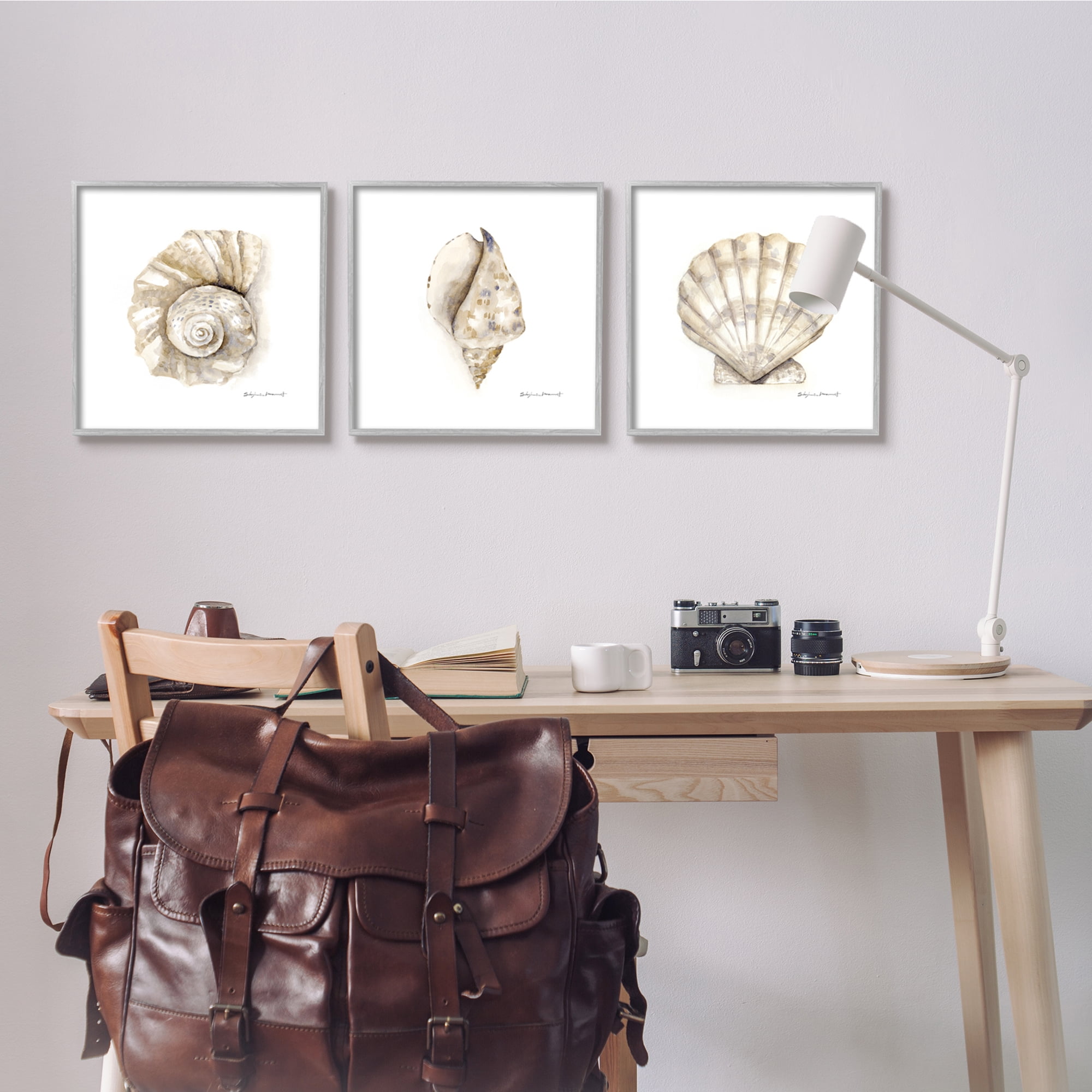 Stupell Industries Soft White Patterned Seashells Nautical Natural Neutrals, 17 x 17,Design by Stephanie Workman Marrott