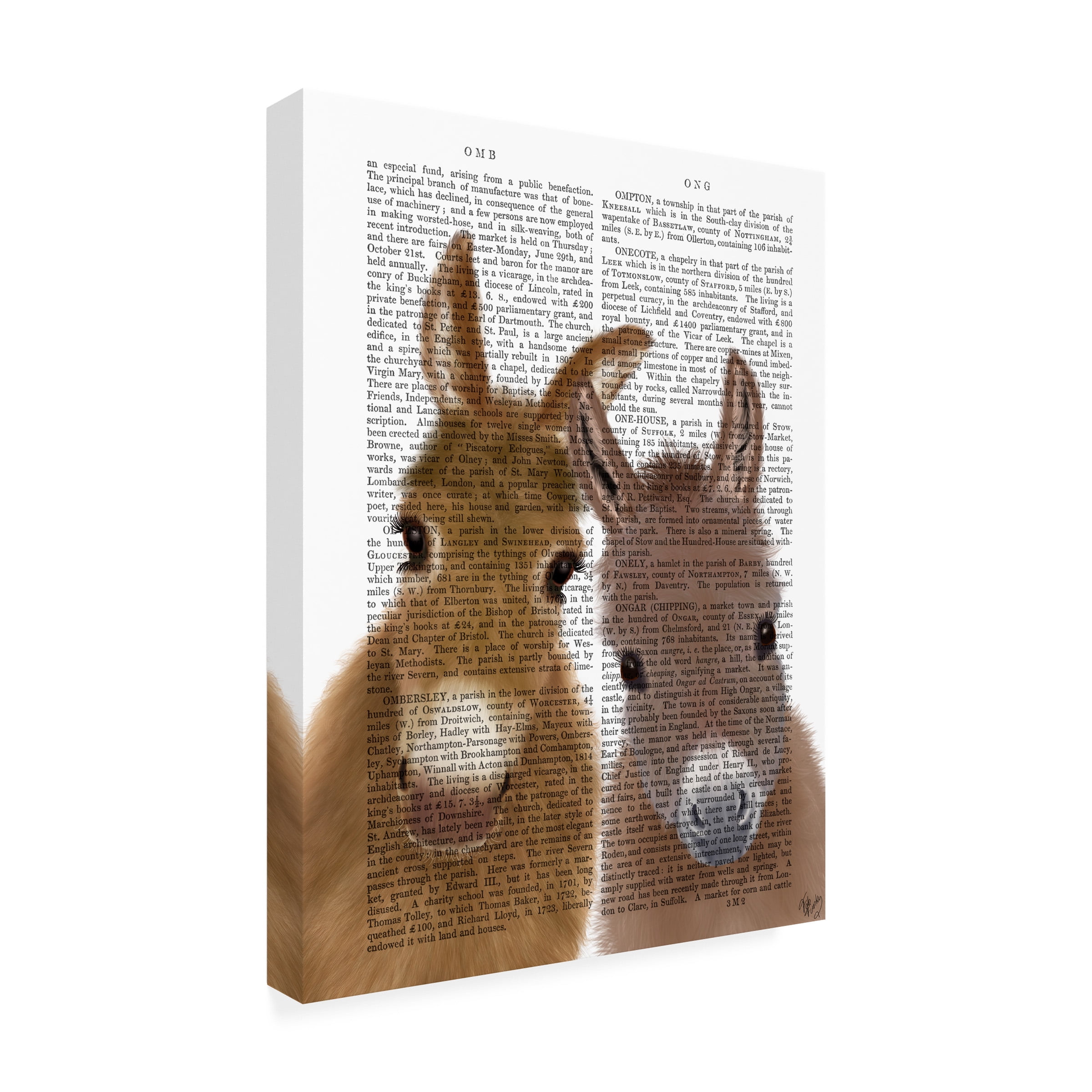 Fab Funky 'Donkey Duo Looking at You Book Print' Canvas Art