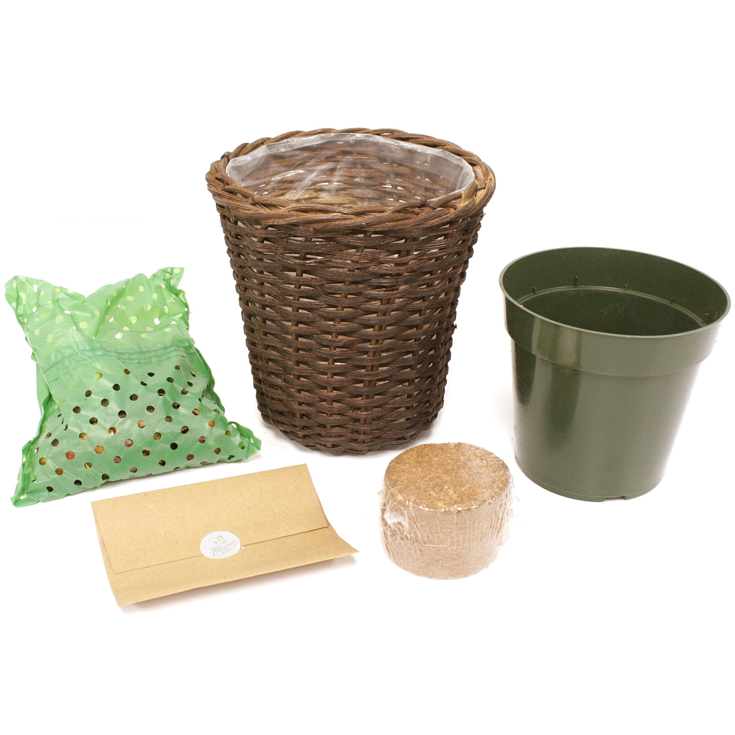 Van Zyverden Paperwhite Kit Ziva with 6.5" Round Table Top Rattan Basket Set of 6 Bulbs White Part Sun