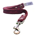 thumbnail image 4 of Juego Correa Collar Y Pechera Para Perro 3pz Mundo Mascota, 4 of 4