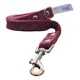 thumbnail image 4 of Juego Correa Collar Y Pechera Para Perro 3pz Mundo Mascota, 4 of 4