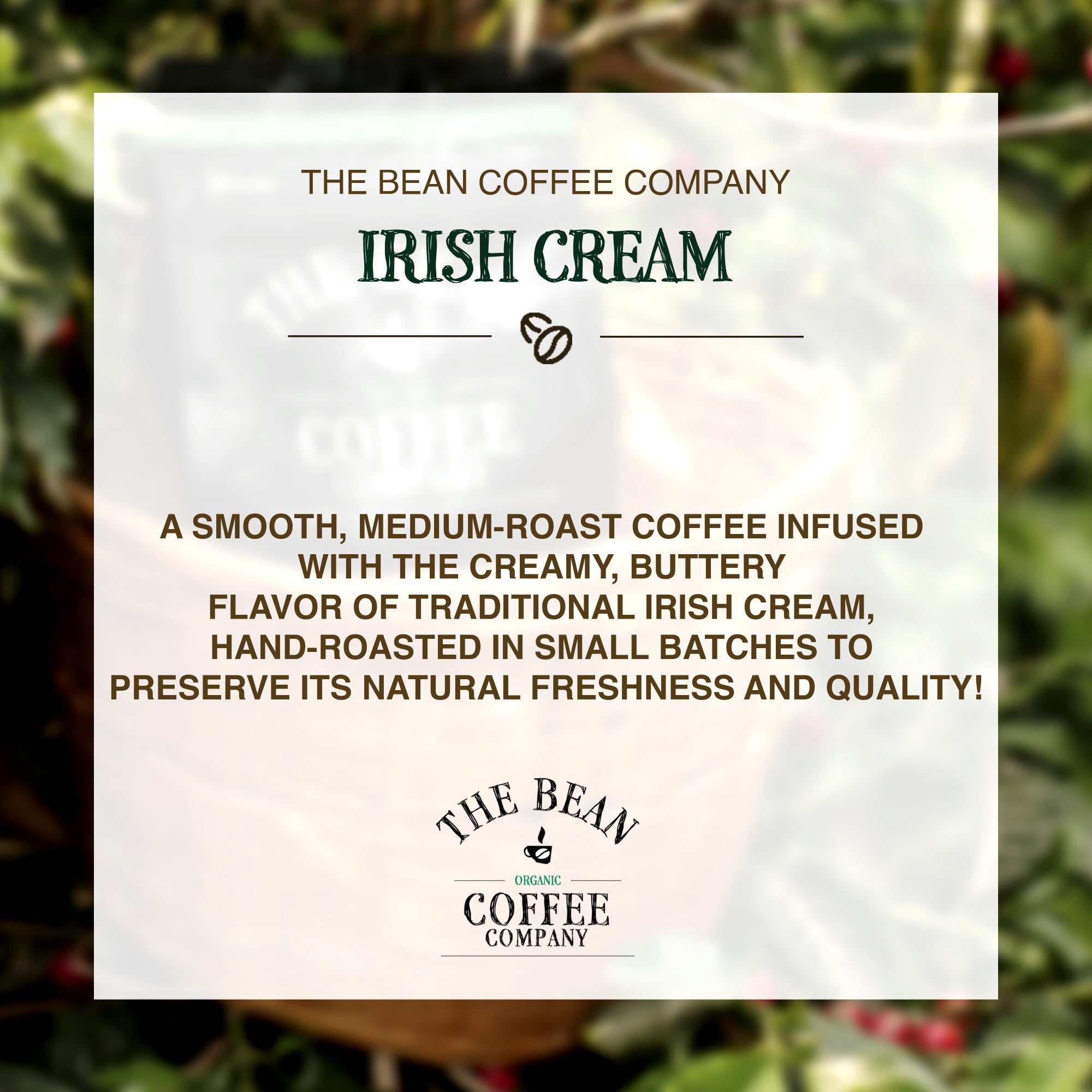 The Bean Organic Coffee Company Irish Cream, Medium Roast, Ground Coffee, 16-Ounce Bags (Pack of 2)