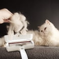 thumbnail image 2 of Cepillo quitapelos para gatos y perros, cepillo para recoger y eliminar pelo, quitapelos mágico reutilizable, rodillo quitapelos para mascotas, quitapelos (ropa/sofá/coche/cama/alfombra), 2 of 5