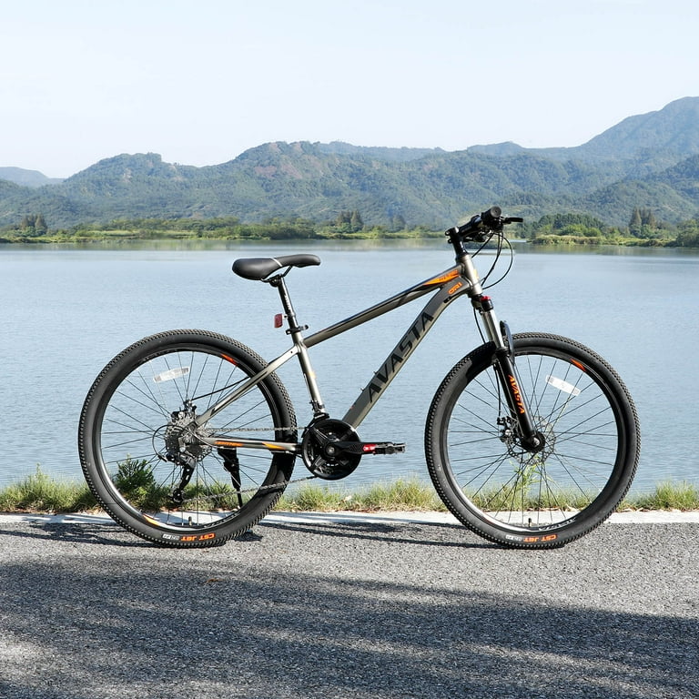 Giant rincon disc 2020 deals