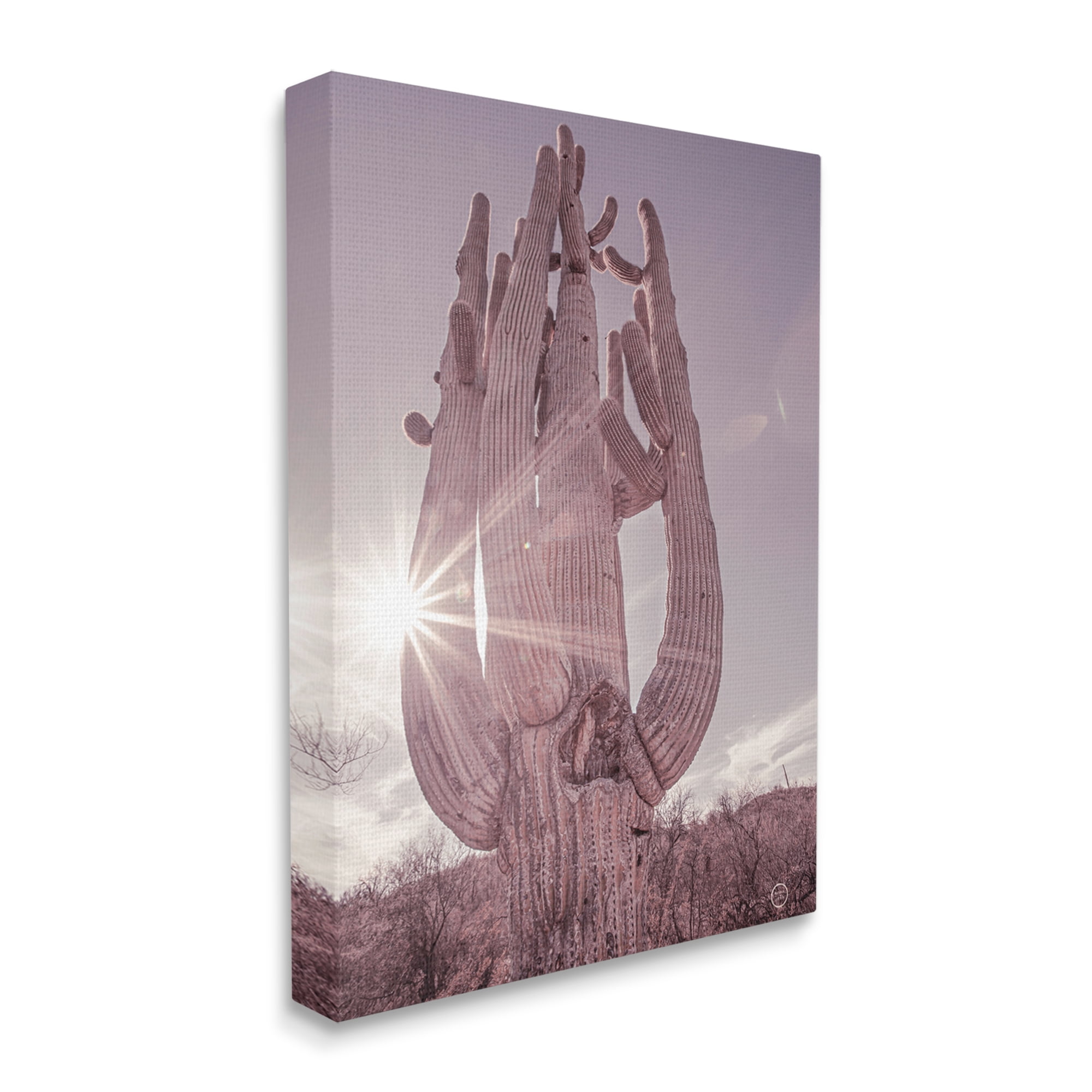 Stupell Industries Desert Sun Cactus Landscape Solar Flare Photography, 36 x 48, Design by Nathan Larson