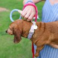 thumbnail image 6 of Packed Party Grid Fashion Dog Collar, Gold, S, 6 of 8