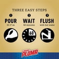 thumbnail image 2 of Liquid-Plumr Slow Flow Fighter Drain Cleaner - Clog-Free, Unscented - 17 Oz. Single Piece, 2 of 5