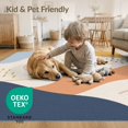 thumbnail image 4 of ODIKA 5'x7' Soft Pastel Multicolor Abstract Design Washable Area Rug Modern Artistic Flowing Shapes Pattern for Small Living Room, Bedroom, Easy Care, Non-Shedding, Pet Friendly, 4 of 7