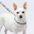 thumbnail image 2 of Country Brook Petz® Premium Sundry Chevron Collar and Leash Limited Edition, Small, 2 of 7