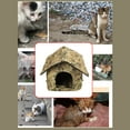 thumbnail image 4 of Casa para Gatos al Aire Libre, Casas para Gatos resistentes a la intemperie para gatos de interior y exterior, refugio para gatos callejeros adicional y plegable, cueva, 4 of 7