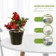 thumbnail image 3 of Mini bonsái de frutas, plantas artificiales creativas, decoración del hogar, simulación de plantas verdes, 3 of 5