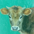 thumbnail image 2 of Phillip, Jamie 20x20 White Modern Wood Framed Museum Art Print Titled - Hello Moo, 2 of 4