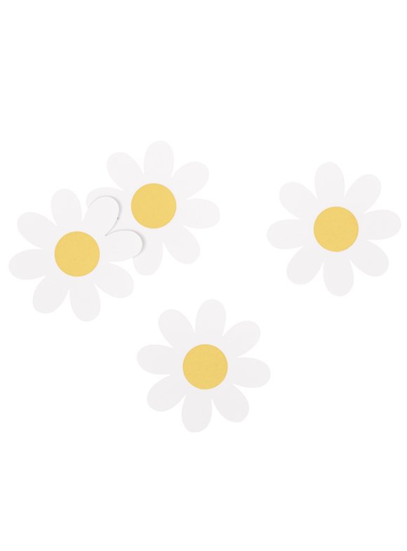 Daisy Party Supplies in Party & Occasions