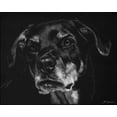 thumbnail image 2 of Chapman, Julie T. 14x12 Black Ornate Wood Framed with Double Matting Museum Art Print Titled - Canine Scratchboard XXII, 2 of 4