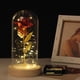 thumbnail image 1 of La Bella y la Bestia Rosa en vidrio, 24K Rainbow Forever Rose con 20LED 2M String Light, pilas AAA incluidas para Navidad, Acción de Gracias, Boda, Aniversario, Día de la Madre, Día de San Valentín Fokelyi WMZL-842-2, 1 of 6