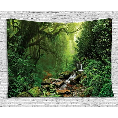 Rainforest Decorations Collection Forest In Nepal Footpath Wildlife Rainforest Decorations Collection Forest In Nepal Footpath Wildlife Spring Plant And Stones Moisture Water Print