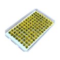 thumbnail image 1 of pitrice Artificial DIY Miniature Flower Cluster Model for Decoration Yellow, 1 of 9