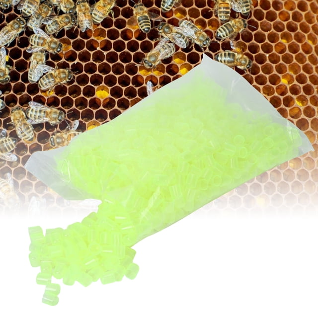 Queen Cell Cups Beekeeping Cell Cups, Non-Toxic Beekeeping Supplies Plastic Material Queen Rearing System, Queen Rearing System For Honey Bee