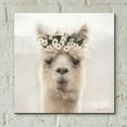 thumbnail image 4 of Epic Art 'Alpaca with Flowers' by Lori Deiter, Acrylic Glass Wall Art, 12"x12", 4 of 8