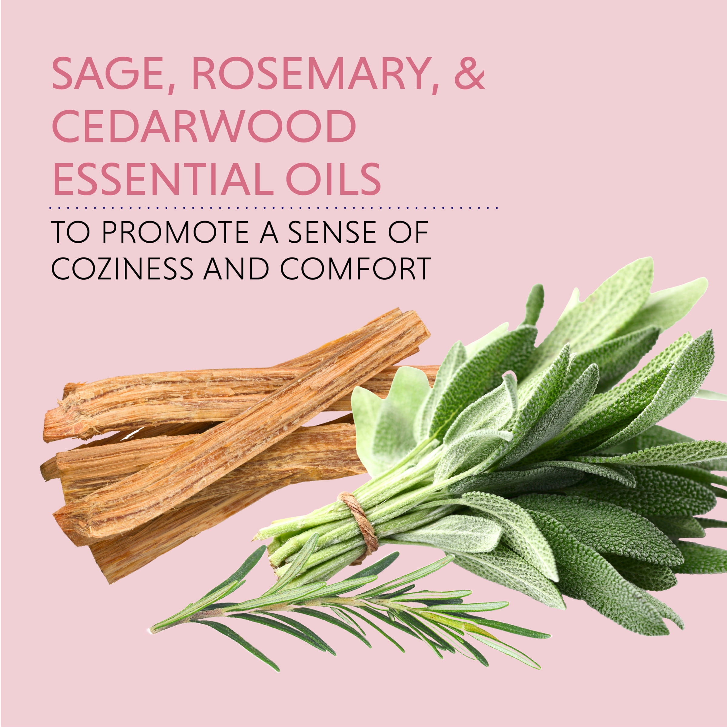 Dr Teal's Aromatherapy Comfort Body Cream with Sage, Rosemary, & Cedarwood, 8oz