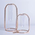 thumbnail image 2 of 1pc Hydroponic Glass Tube Green Planter Glass Vase Metal Plant Container Rack Flower Tube For Home Office (single Tube Trumpet), 2 of 3