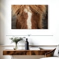 thumbnail image 3 of Elephant Stock Close Up Of An Icelandic Horse Wall Art - Horizontal Canvas Wall Art - Living Room Wall Decor - Animal Canvas - Brown And Gray Decor By Scott Stulberg - 39" x 26", 3 of 8