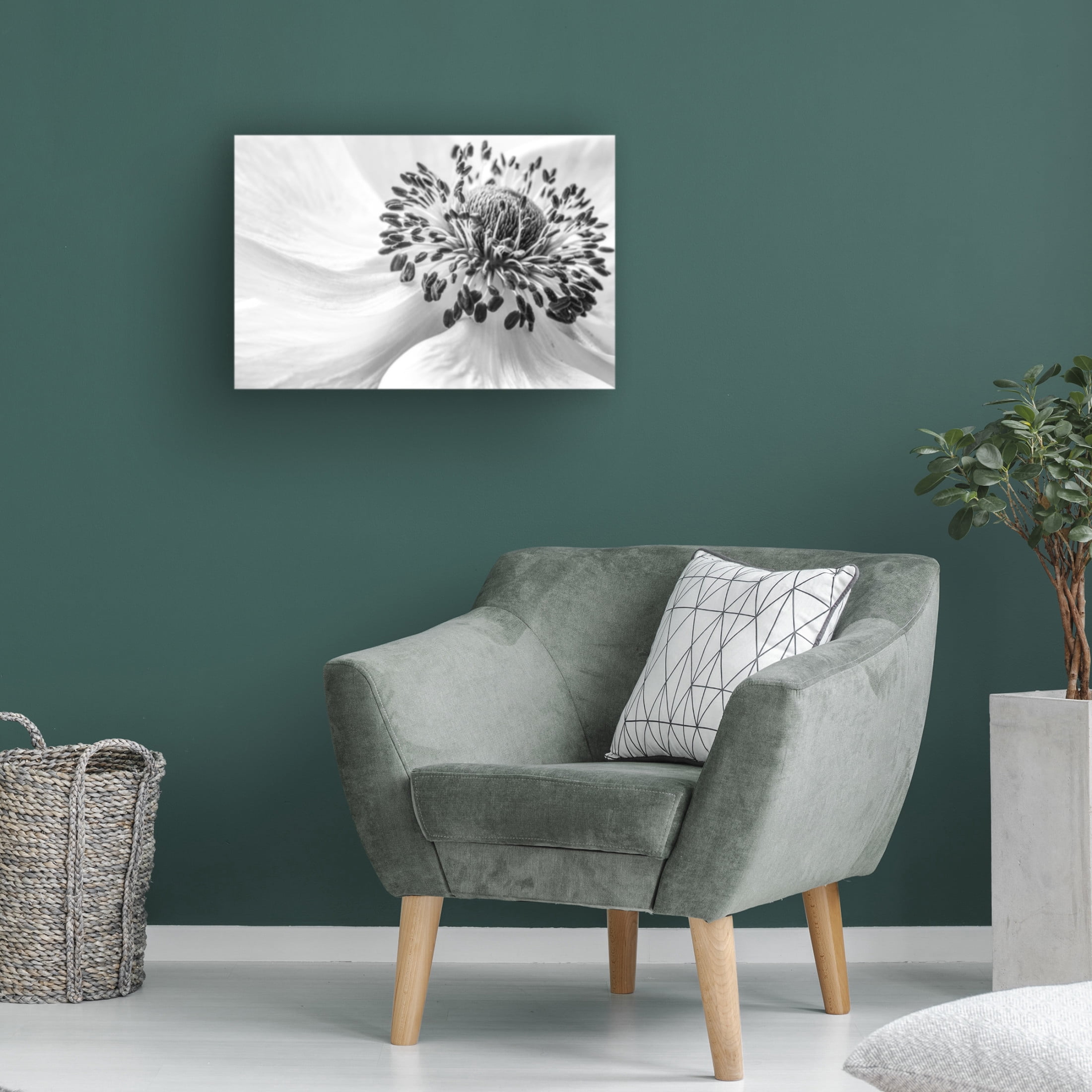 Canvas Wall Art - Mandy Disher 'Anemone' Wall Art for Living Room, Bedroom, or Office D?cor by Trademark Fine Art - 24 x 16 Inches