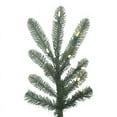thumbnail image 2 of Vickerman 4' Alberta Blue Spruce Artificial Christmas Tree, Warm White Dura-lit LED Lights, 2 of 2