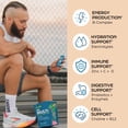 thumbnail image 4 of Root'd Multivitamin Powder with 3X Electrolytes for Men - 24 Vitamins & Minerals, 3X Electrolytes, 9 Superfoods, Probiotics & Enzymes, Sugar-Free Multivitamin & Hydration | 24 Packets, 4 of 6