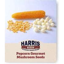 Harris Seeds Gourmet Mushroom Popcorn Variety, Orange Kernels, 100 Count