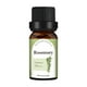 thumbnail image 1 of Aceite esencial de aromaterapia de naranja dulce unilateral de 10 ml, aceite de árbol de té, lavanda, material de vela DIY, aceite esencial de aromaterapia soluble en aceite (compre 2 y ahorre un 10 %, 1 of 2