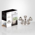 thumbnail image 4 of Xtricity - 3-Head Directional Light Fixture, 9.06" Wide, From the Rosalie Collection, Nickel, 4 of 4