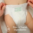 thumbnail image 4 of Earth & Eden Baby Diaper Size 1, 8 to 14 lbs. 10008045, 176 Ct, 4 of 6