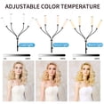 thumbnail image 3 of Luz LED XPAISYQC de cuatro brazos, 30 W, 2800 K, 6500 K, CIR80+, con soporte, 3 of 6