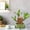 green, variant on Fasiaou 1 Counts Bonsai Tree Pot with Drainage Tray Modern Ceramic Planter for Indoor Plants Decorative Flower Pot for Home Office Decor Plant Container for Succulents Herbs
