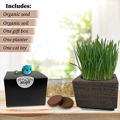 Organic Cat Grass Seeds Kit Wheatgrass Growing Kit Organic Seed & Soil for 3 Growings Healthy Pet Grass Supplement Round Hole Planter