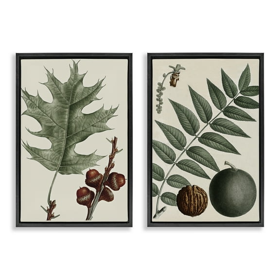 Stupell Industries Tree Leaves & Nuts Plants & Flowers Painting Black Floater Framed Canvas Art Print Wall Art, 17 x 25, Set of 2