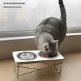 thumbnail image 6 of Monebena 2 Pcs Stainless Steel Cat Bowls,5.5 Inches Metal Cat Bowl, Cat Food Bowls for Indoor Cats, Whisker Fatigue Cat Bowl, Shallow Cat Food Dish, Kitten Food Bowl, Elevated Food Bowls for Cats, 6 of 7
