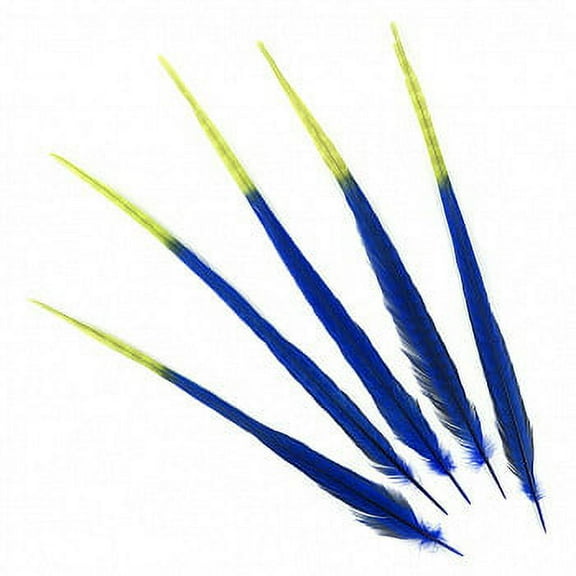 ZUCKER Ringneck Pheasant Tails Bleached/Dyed & Tipped Feathers - 20 -24" - 5pcs - Royal - Lime