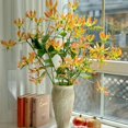 thumbnail image 1 of GSDWIUEW Bulbes de Rothschildiana Gloriosa (Lys de Feu/lys en Flammes) - Vigne Grimpante Exotique Fleur 8 Pcs / 20 Pcs Floraisons Rouges et Jaunes Vibrantes pour Jardin et Contenants (Orangey Rose,20), 1 of 6