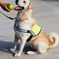 thumbnail image 7 of 2026 New Anti-Lost Locator Kit with Tracking Ball and Pet Collar, Reusable Finder for Car and Pet, No App Needed, 7 of 7