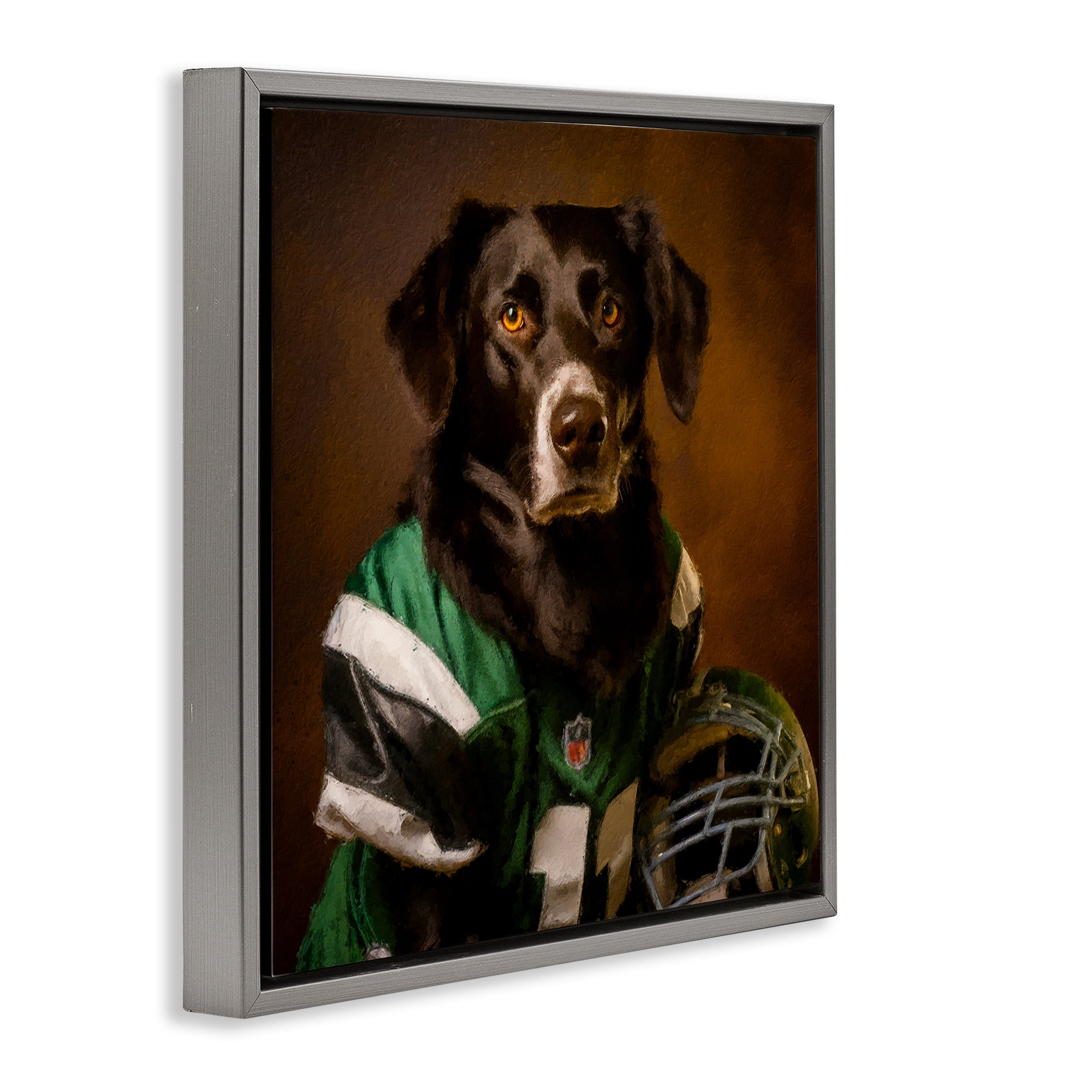 Stupell Industries Football Star Dog Animals Painting Gray Floater Framed Canvas Art Print Wall Art, 18 x 18