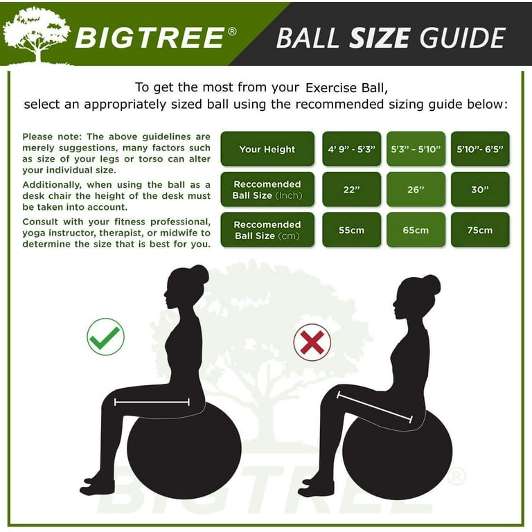 BIGTREE Yoga Ball Exercise Core Stability Strength Anti Burst