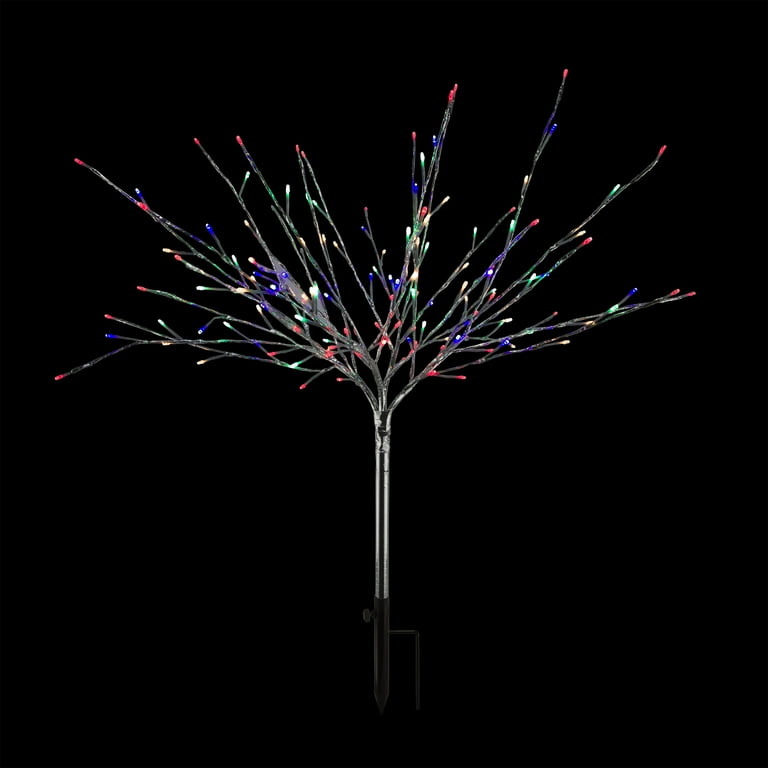 Lighted Bare Branch Tree