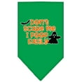 thumbnail image 4 of Halloween Pet and Dog Bandana Screen Printed, "Don't Scare Me, I Poop Easily", 4 of 10