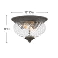 thumbnail image 3 of 2 Light Outdoor Small Flush Mount in Traditional-Glam Style 12 inches Wide By 8 inches High-Museum Black Finish Bailey Street Home 81-Bel-4420956, 3 of 7